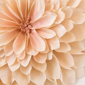 Meet your Posher, Molly